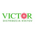 Victor Kvety