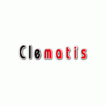 Clematis