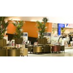 Glacio Caffe